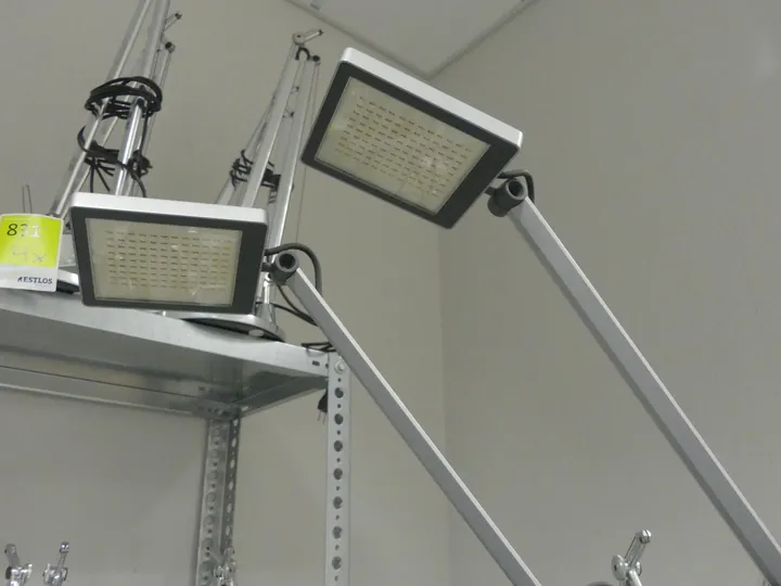 2x Waldmann - Tischleuchte, Silber